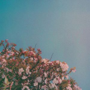 黃色成人❌❌❌大片爱卡其色在我妈
