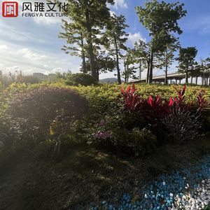 黃色成人❌❌❌大片爱卡其色在我妈
